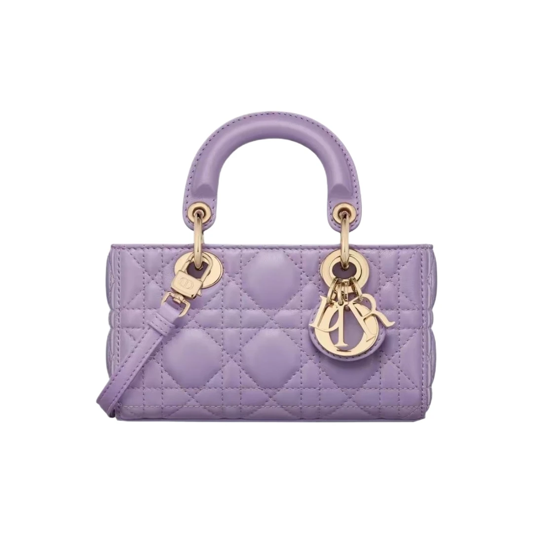 全新未使用 DIOR/迪奥 安洁利严选/BK0130281 斜挎包