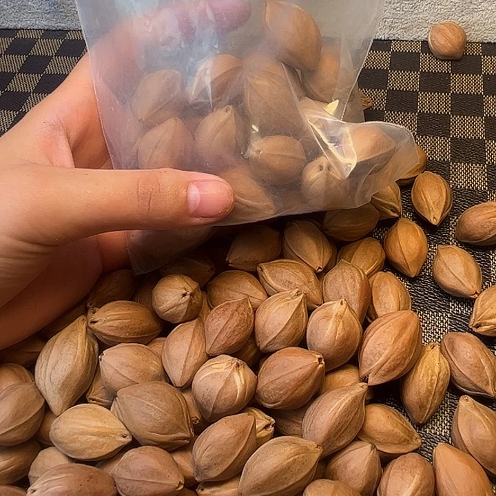 手串/手链橄榄核门*