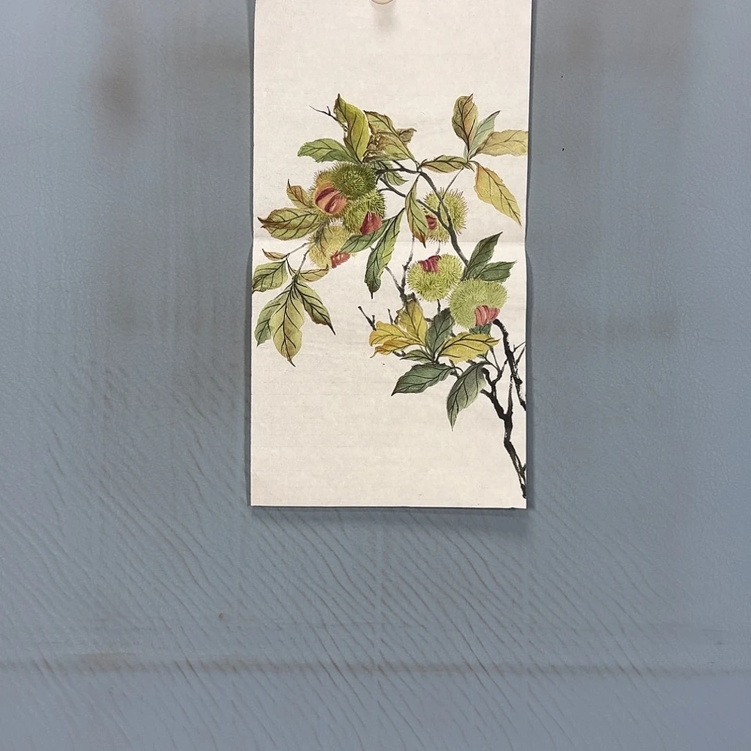 国画497 牡丹一如你的