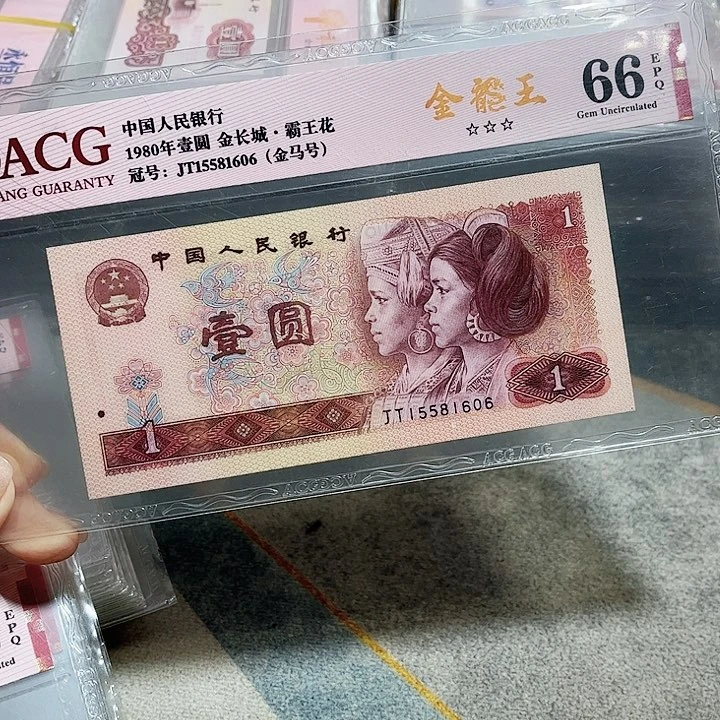 15581606。。。。。。金马号
