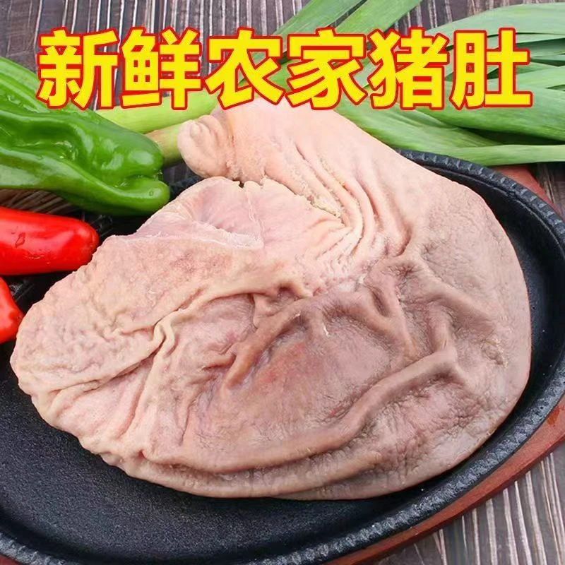 【顺丰包邮抢五只】新鲜散养冷冻整只特厚猪肚养胃营养无油猪肚