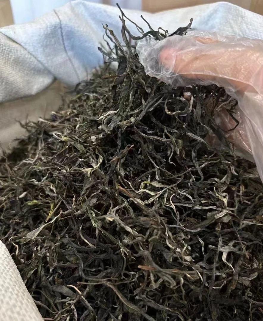 古树普洱生茶 W-2010年老树散茶