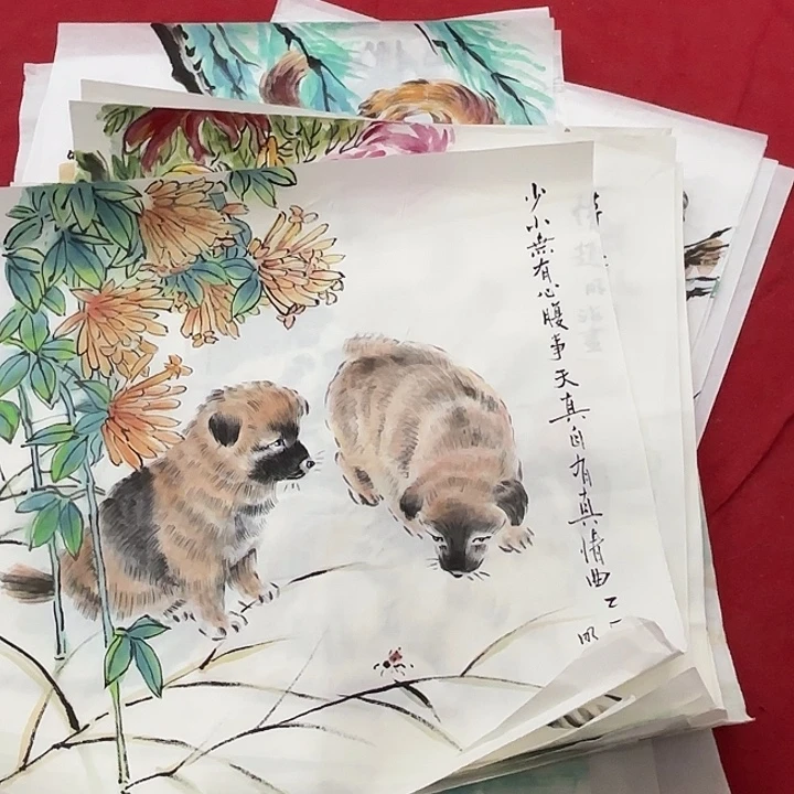 国画花鸟的翅膀和翅膀是