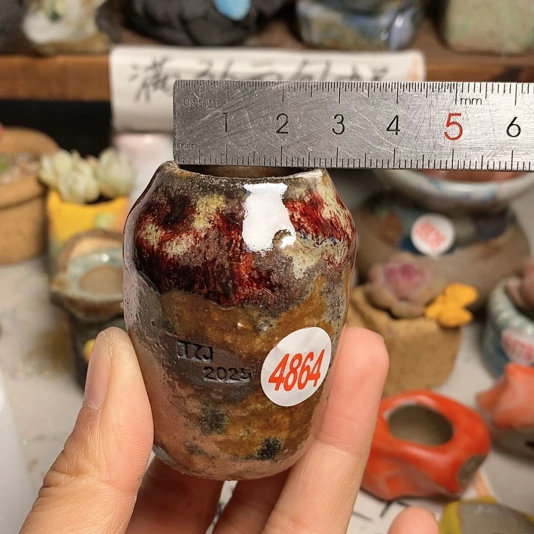 红陶拍5送一个小