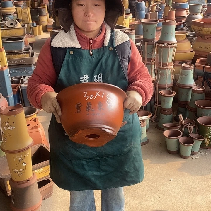 紫砂花盆盆栽花卉苗木种植