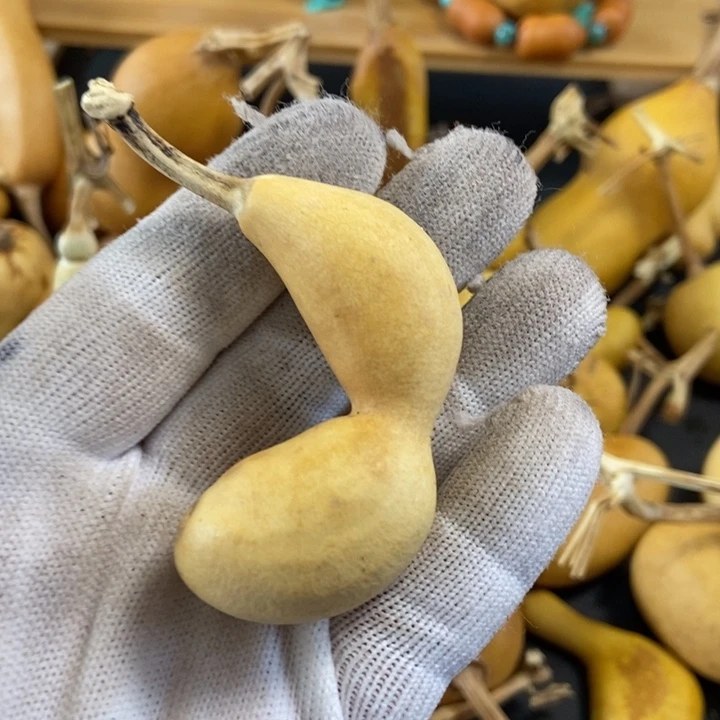 酒**子葫芦葫芦真的