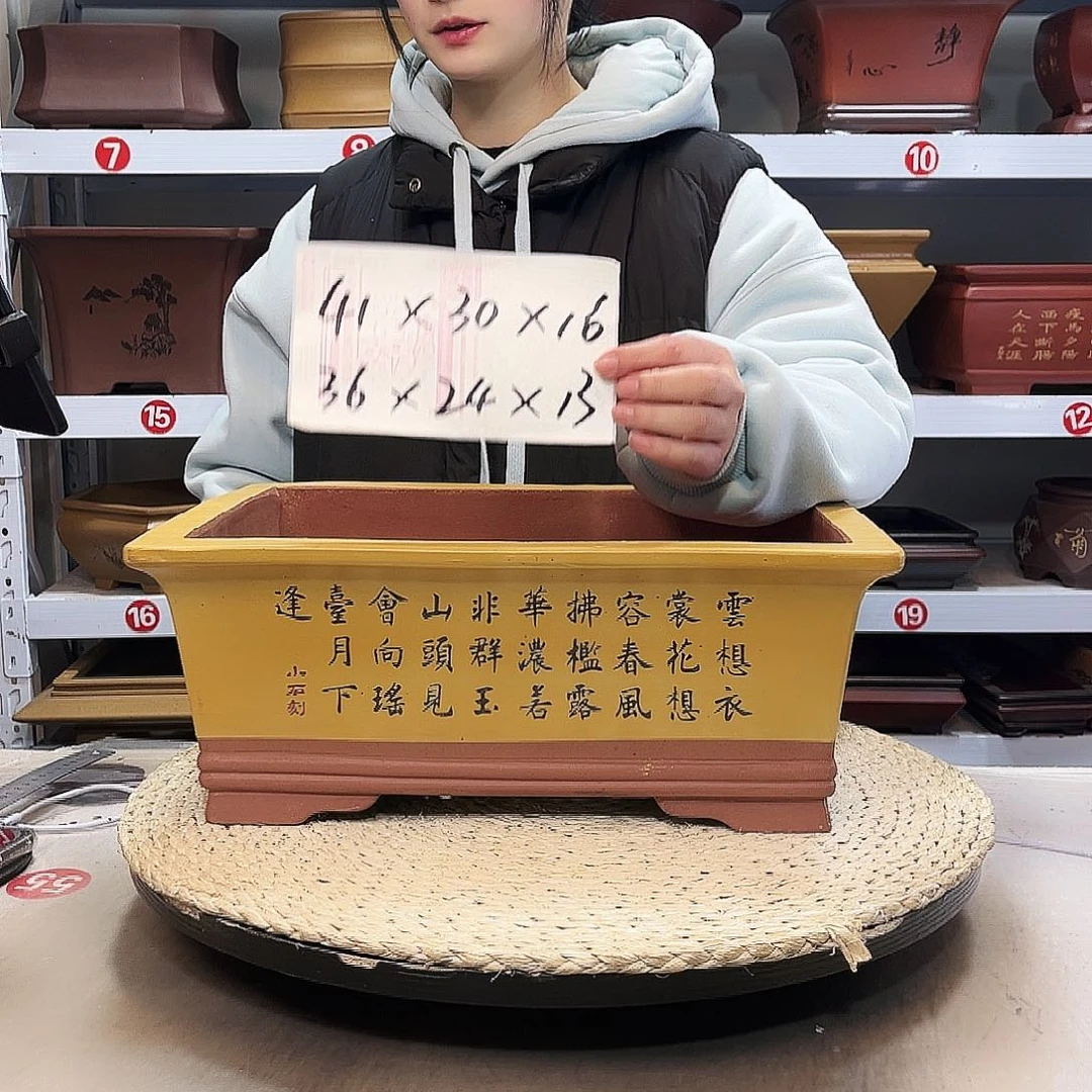 花盆紫砂紫砂花盆