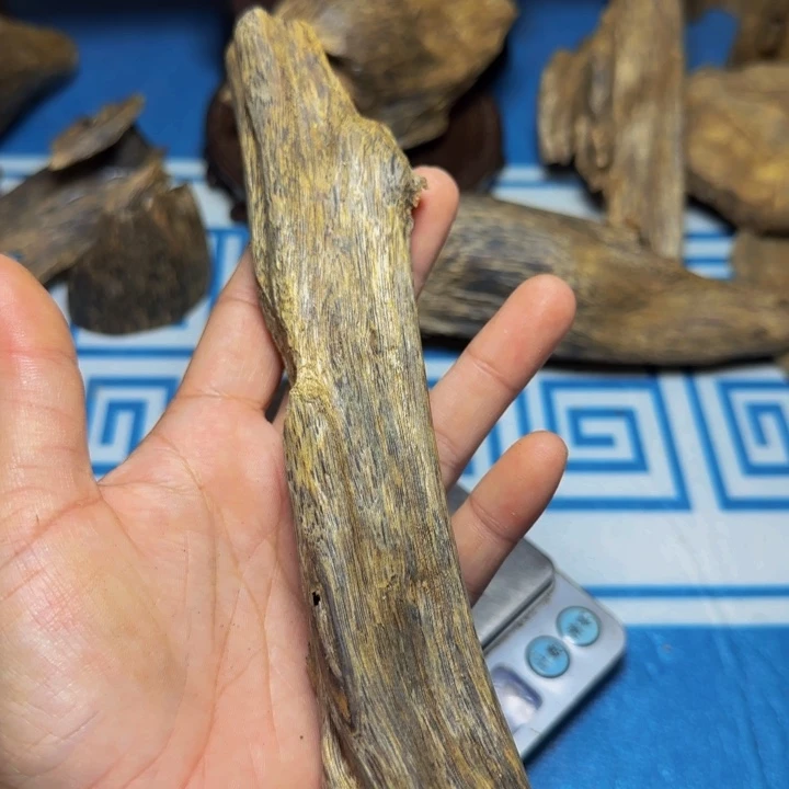木质紫奇树心虫漏39克