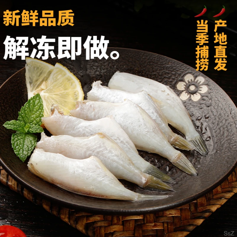 包邮耗儿鱼免处理新鲜马面鱼冷冻扒皮剥皮鱼商用火锅海鲜