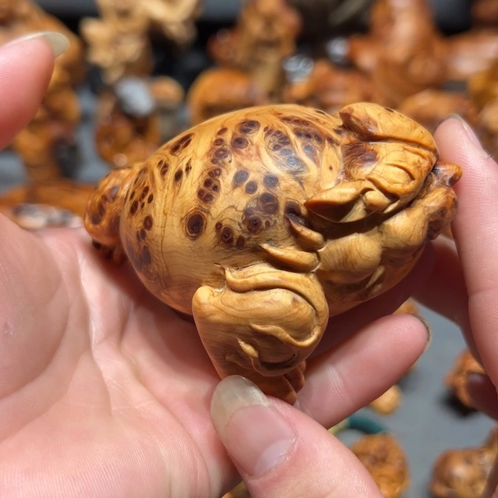 柏木（崖柏）点点关注