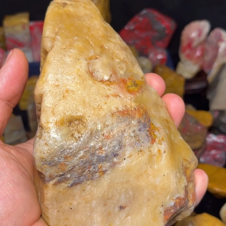 苍***晨昌化石国石昌化石