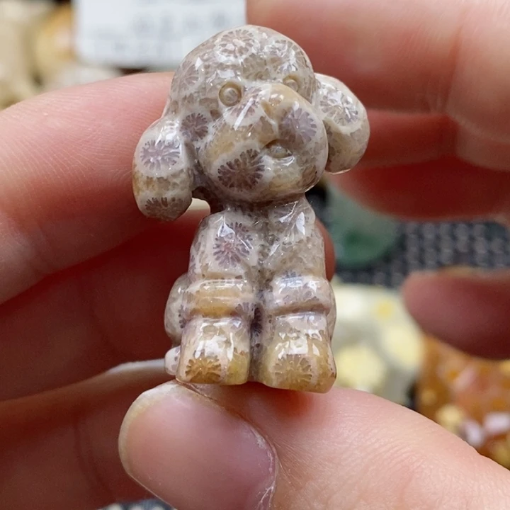 硅化珊瑚（珊瑚玉）颈饰未镶嵌