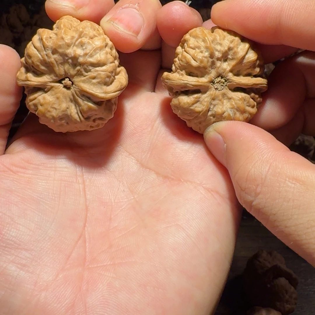 通***少文玩核桃吊坠蛤蟆的眼睛是真的好看啊我