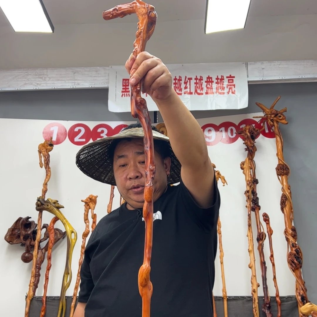 黑果木其他祖****展黑果木703