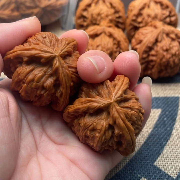 火***火核桃白狮子38核桃