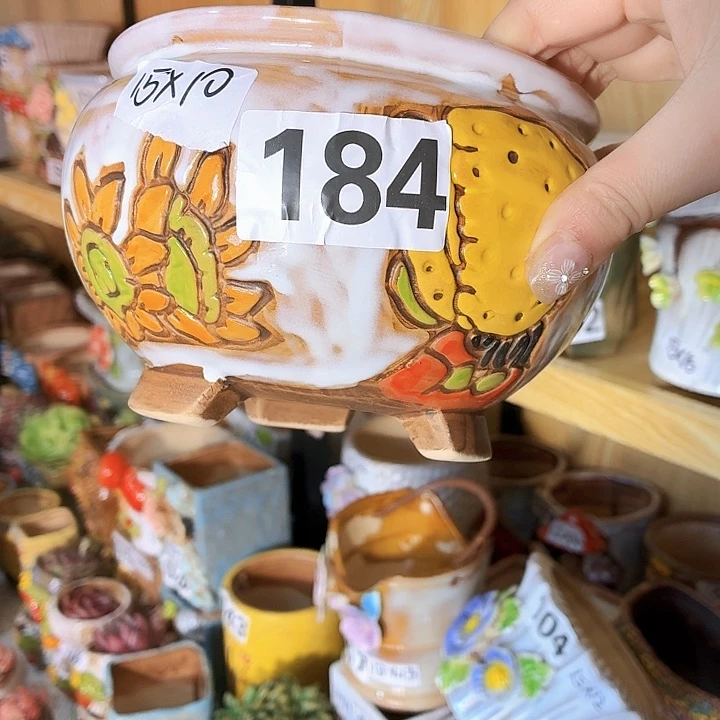 多肉花盆满15包邮