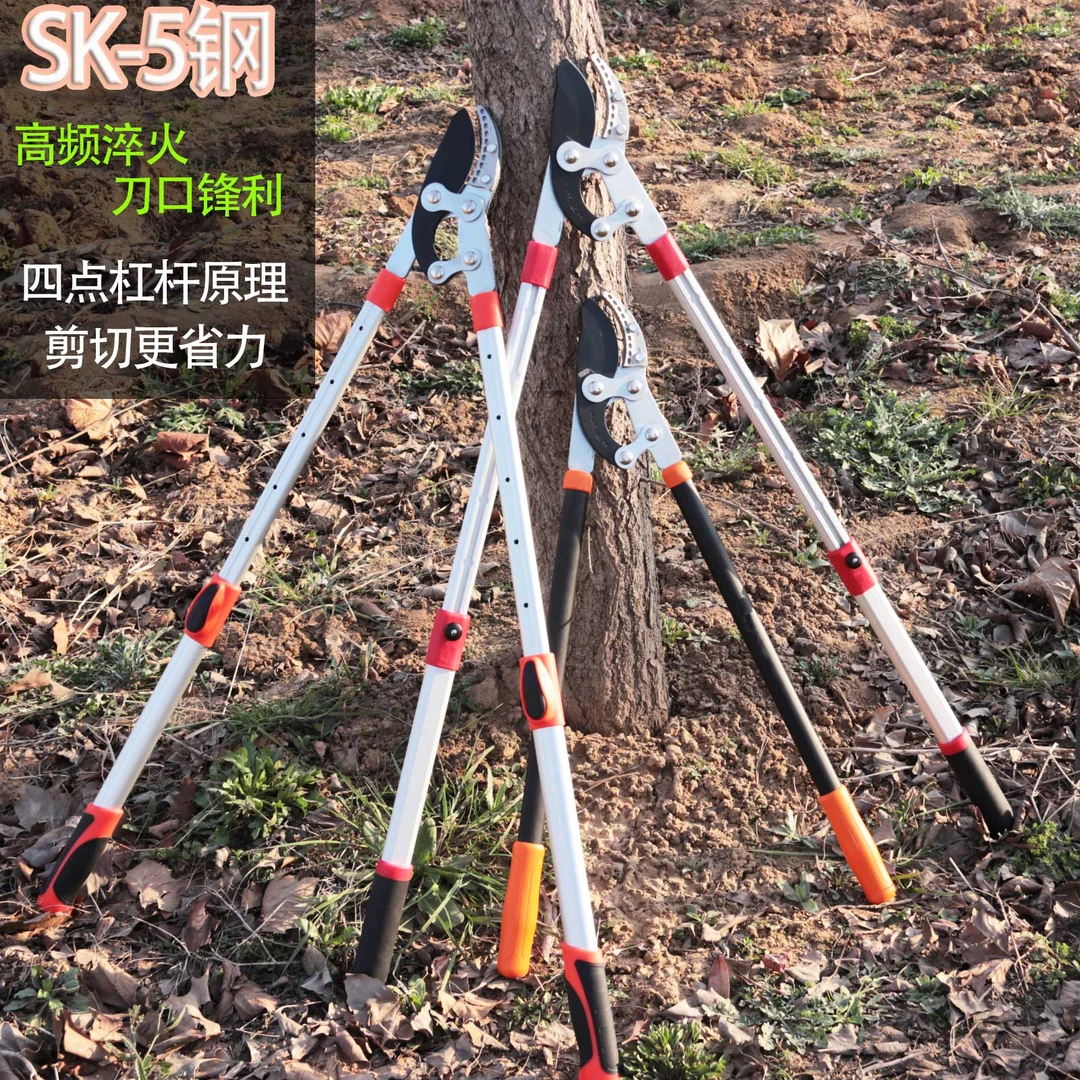 粗枝剪修剪树枝剪刀果树修枝大力剪省力园林剪树枝专用强力剪