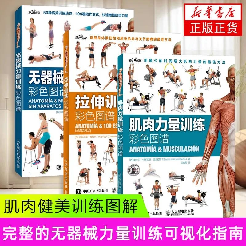 正版肌肉力量训练彩色图谱拉伸训练原理书籍锻炼教程全套解剖书