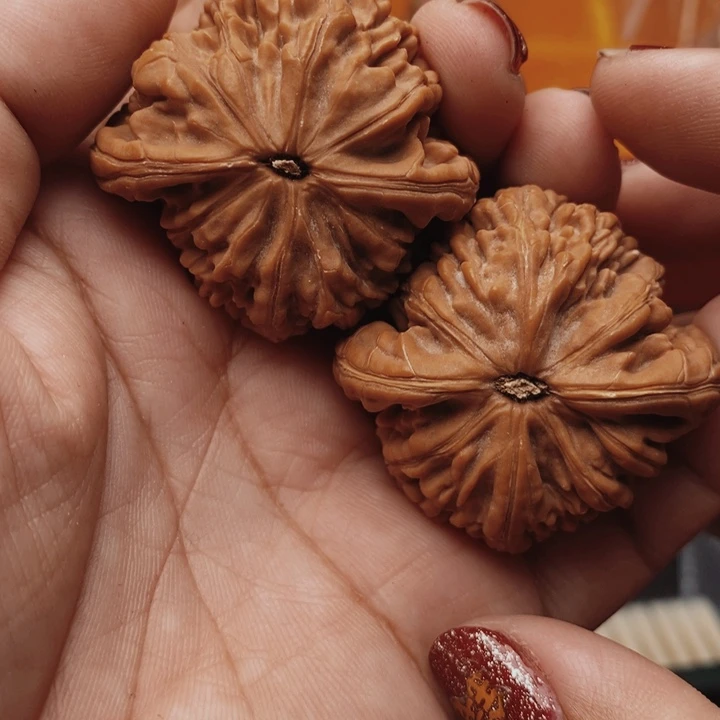 核***弟核桃虎头王41尺核桃