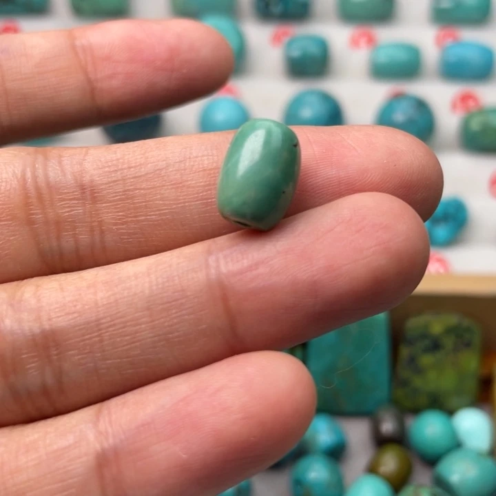 纳菲粉丝专属福利