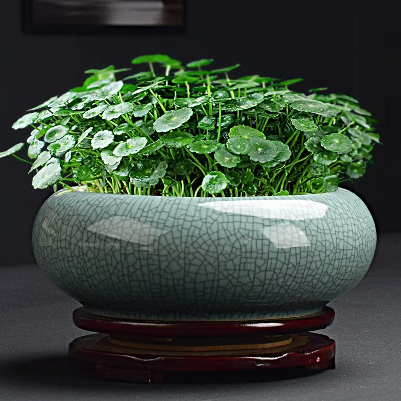 花盆大口径陶瓷大号家用水仙无孔铜钱草专用水培一叶莲碗莲带底座