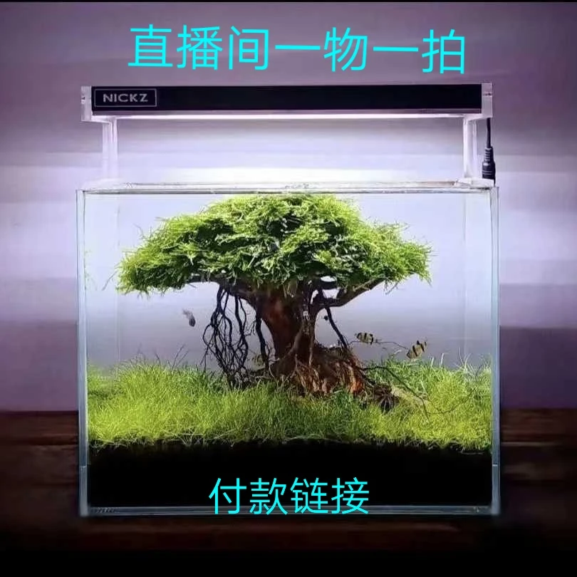 鱼缸造景莫斯树骨架草缸生命之树水榕树迎客松水草造景装饰