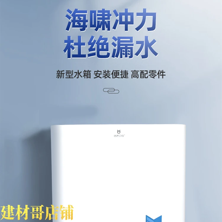 家用壁挂式卫生间蹲便器抽水大冲力节能双按键低水箱卫生间冲水箱