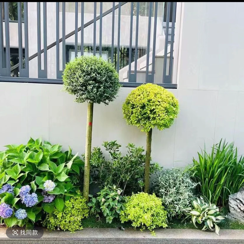花园花镜搭配阳台花园庭院植物整体设计花境定制低维护花境