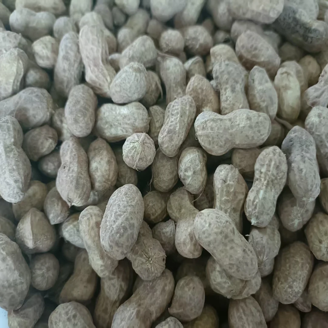 人工挑选新鲜现挖带壳嫩花生农家自种营养美味