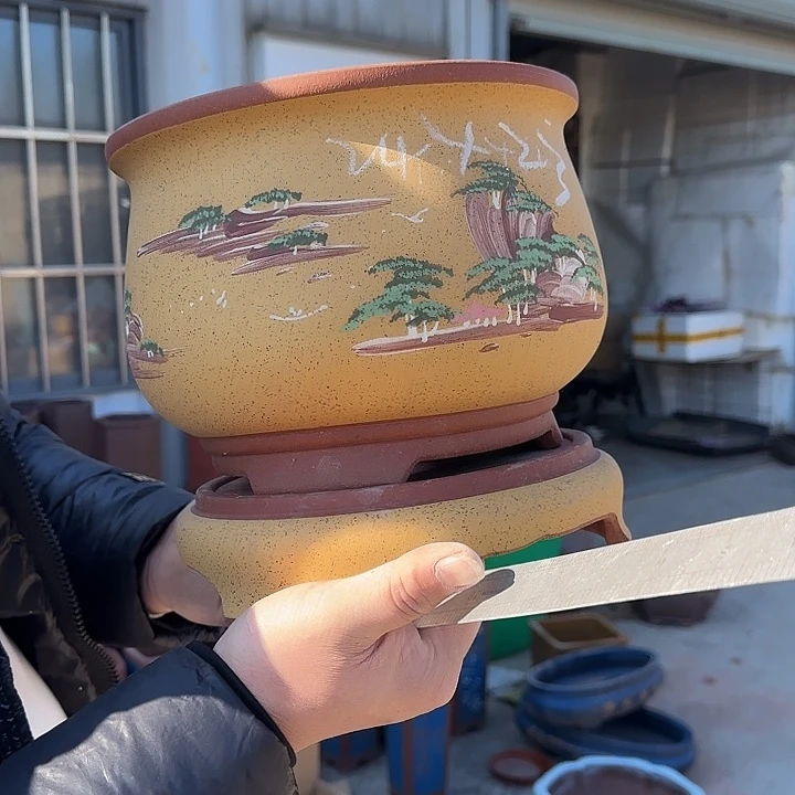 花盆紫砂这是我的