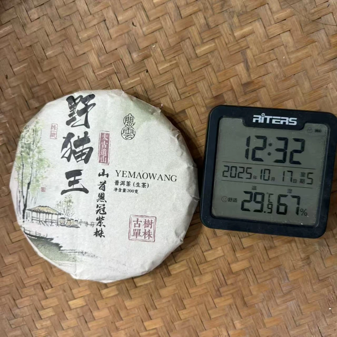 2020年野猫王太古遗山山首黑冠紫株普洱生茶饼200克D16号10月17日