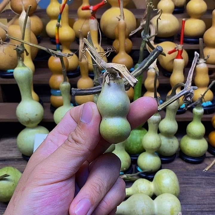 烙****坊长嘴哈哈哈哈哈哈哈哈哈哈哈哈哈哈太