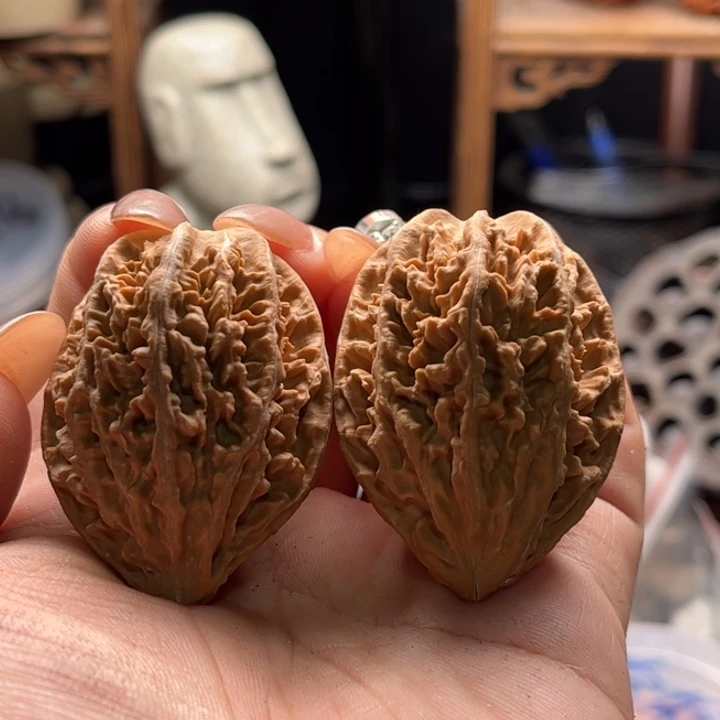 文玩核桃把件楸大胖36