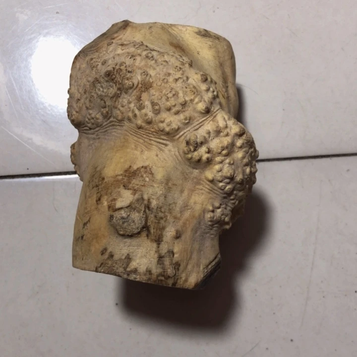 小***闹木木料努力努力努力
