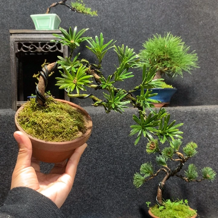 觅***1完全开放11111111111111