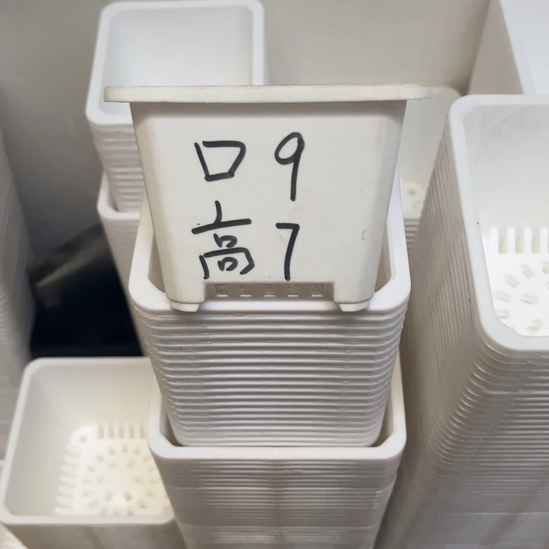 中厚口9高7白盆20个无托