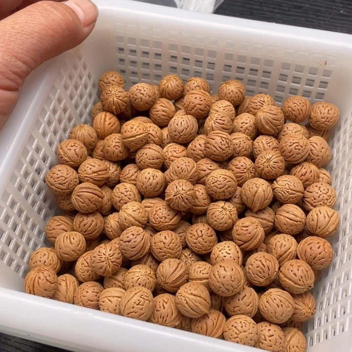 飞***虎散籽批发小桃核50