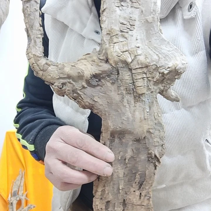 风车木（黑檀木）河****缆