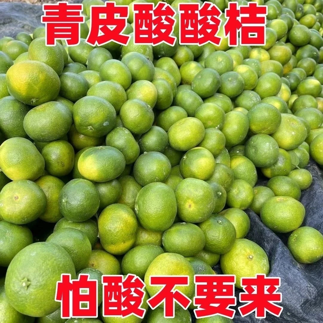 酸甜55开的蜜橘青桔新鲜现摘应季水果酸甜多汁3/5斤