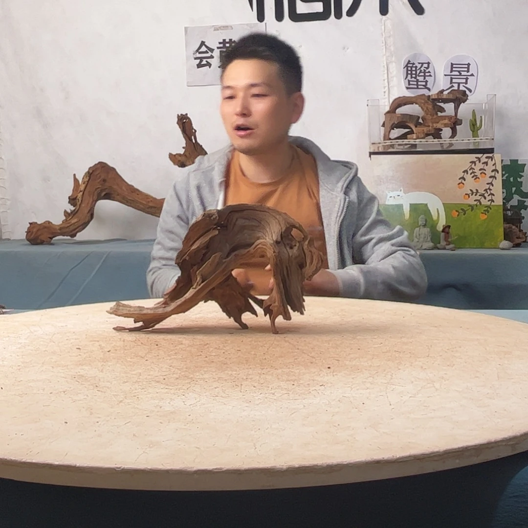 沉木造景寄居蟹景