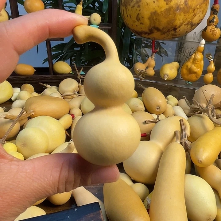 知***一藤手把葫芦精品系列15