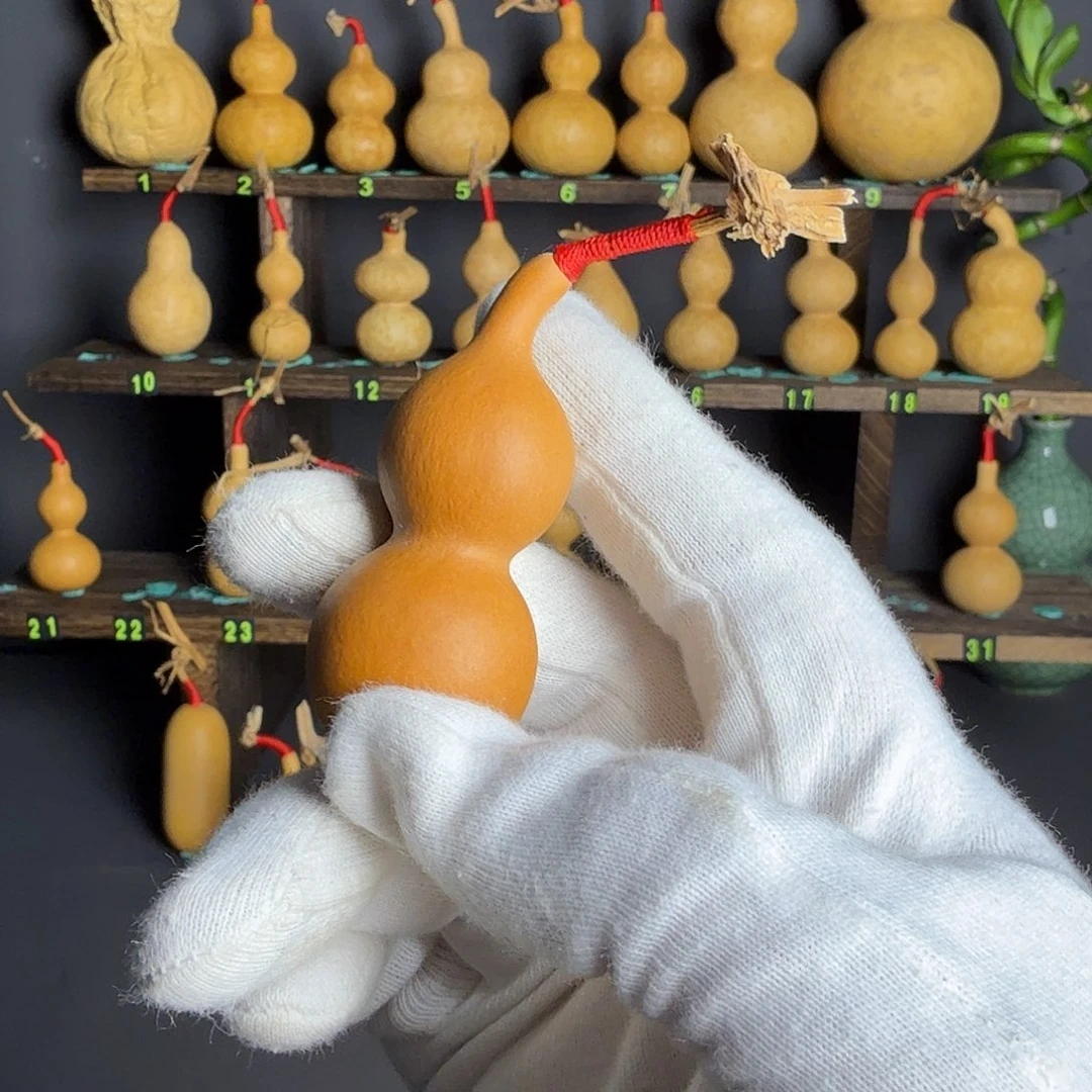 傲**立葫芦葫芦葫芦葫芦葫芦葫芦葫芦葫芦葫芦