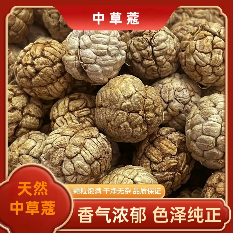 精选草蔻中草寇草豆蔻草寇草叩香料老寇炖肉料卤肉调料煲汤