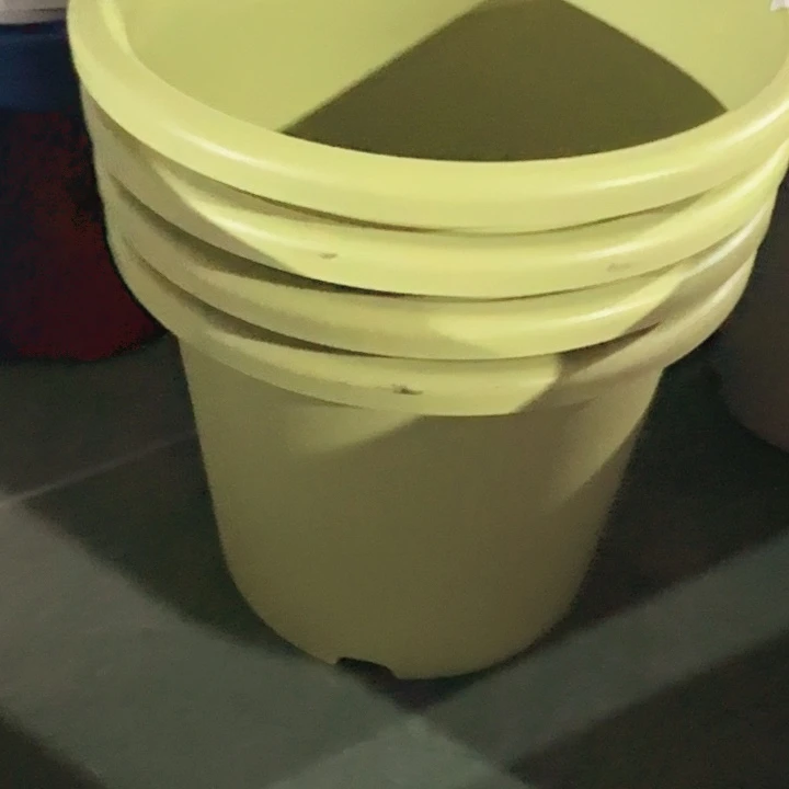 瑕疵9#果绿4个带托