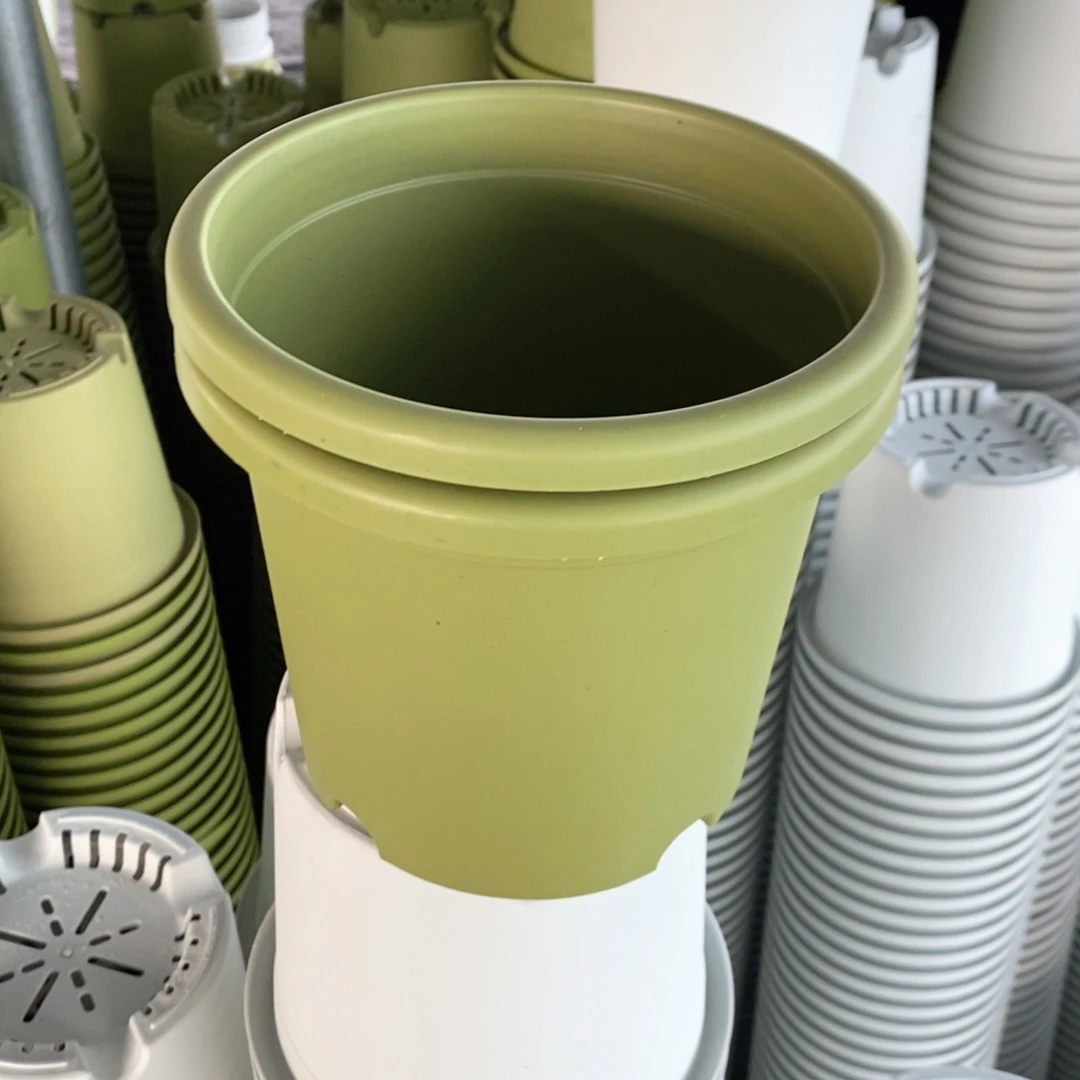 树脂春****?7级福利