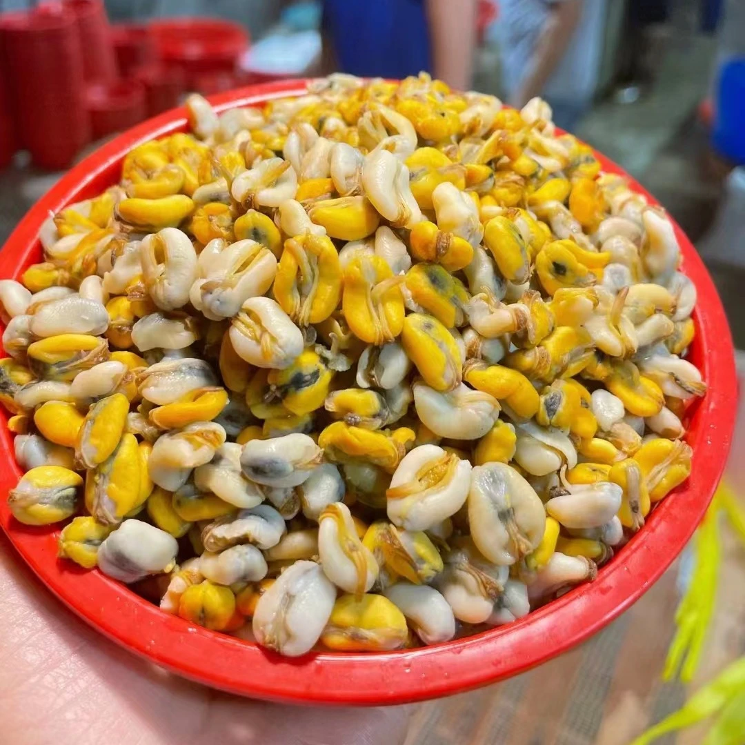 薄壳米海瓜子潮汕盐灶寻氏肌蛤纯肉-18°冷链250g/盒尚鹏派RC
