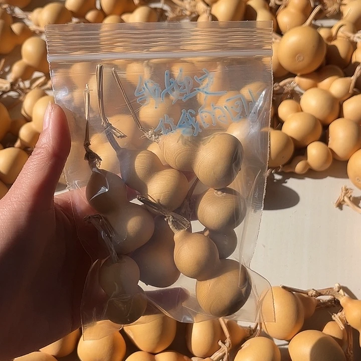 我***忆葫芦葫芦葫芦葫芦