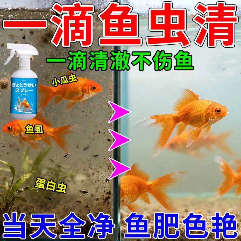 鱼缸专用杀虫锦鲤观赏鱼鱼虫清祛除寄生虫鱼虱涡虫蛋白虫清除剂