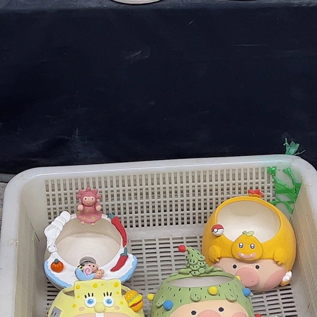 文***樱恭喜姐姐 厉害厉害