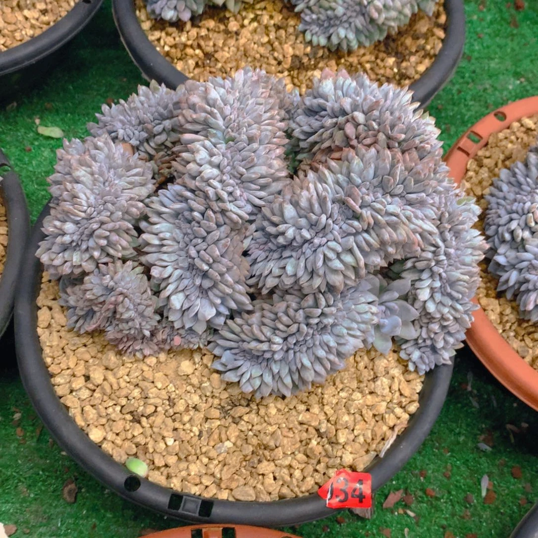 34111111111111111111